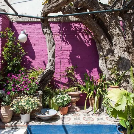 Living Like In A In The Center Of Apartment Athens